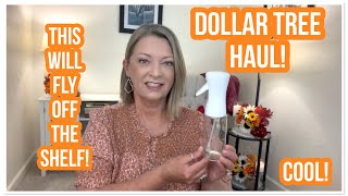 DOLLAR TREE HAUL | This Will Fly Off The Shelf! | COOL! | DT NEVER DISAPPOINTS🎉 #haul #dollartree 