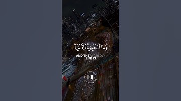 سورة الأنعام - شريف مصطفى