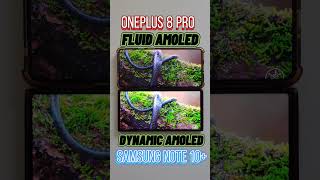 Dynamic Amoled VS Fluid Amoled #Shorts