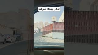 ردة فعلي لما ببغاء قلّد صوتي 😳🗣️ #اكسبلور #ببغاء #ببغاء_يتكلم #ببغاء_يقلد #حيوانات_ذكية