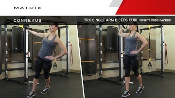 Connexus - TRX Single Arm Biceps Curl (Right) (Side Facing)