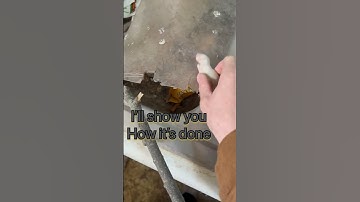 Drop feeding my snake | feeding frozen thawed