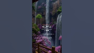 "هذا خلق الله.. فأروني ماذا خلق الذين من دونه | سورة لقمان"