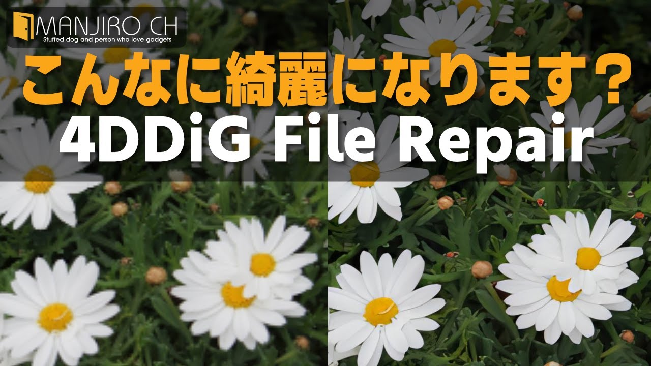 【AIを活用！】画質の荒い画像を綺麗にする方法を公開！「4DDiG File Repair」のレビュー - YouTube