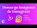 📸 DESCARGAR imágenes de INSTAGRAM en ALTA CALIDAD ★ Fácil y Rápido