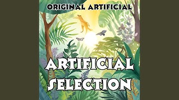 Provinces And Territories Of Canada (Female Country)