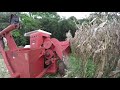 Enfim a colheitadeira de milho chegou!! Maquina Jumil (Famosa Foguetinho)