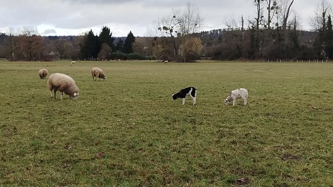 Happy& cute ships 🙂‍↕️☺️🥰🥰🥳🥳🥳🥳🥴