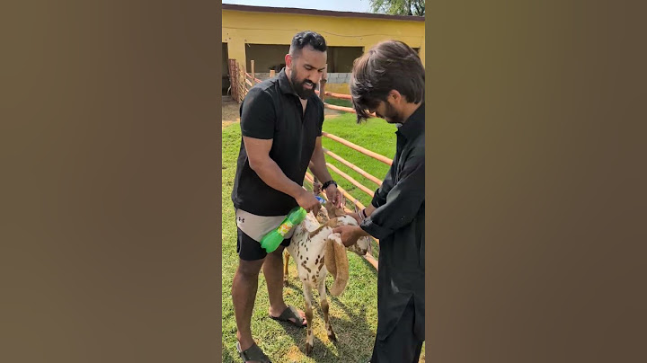 How to save Goats from Ticks (Chichar) & from other diseases