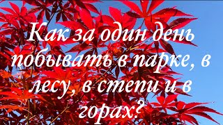 Один день в раю: прогулка по ботаническому саду им. Гришка в Киеве