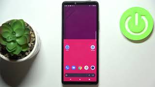 How to Activate Dark Mode on SONY Xperia 10 III – Set Dark Theme screenshot 3