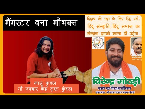 वीरेंद्र गोठडी और कालू कुंडल गौरक्षा बजरंग दल हरियाणा-राजस्थान #kalu_kudal #virender_gothari