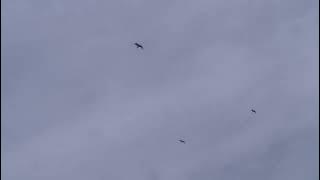 2020_10_20 Oct_Tue 12_38_42__MAH01004