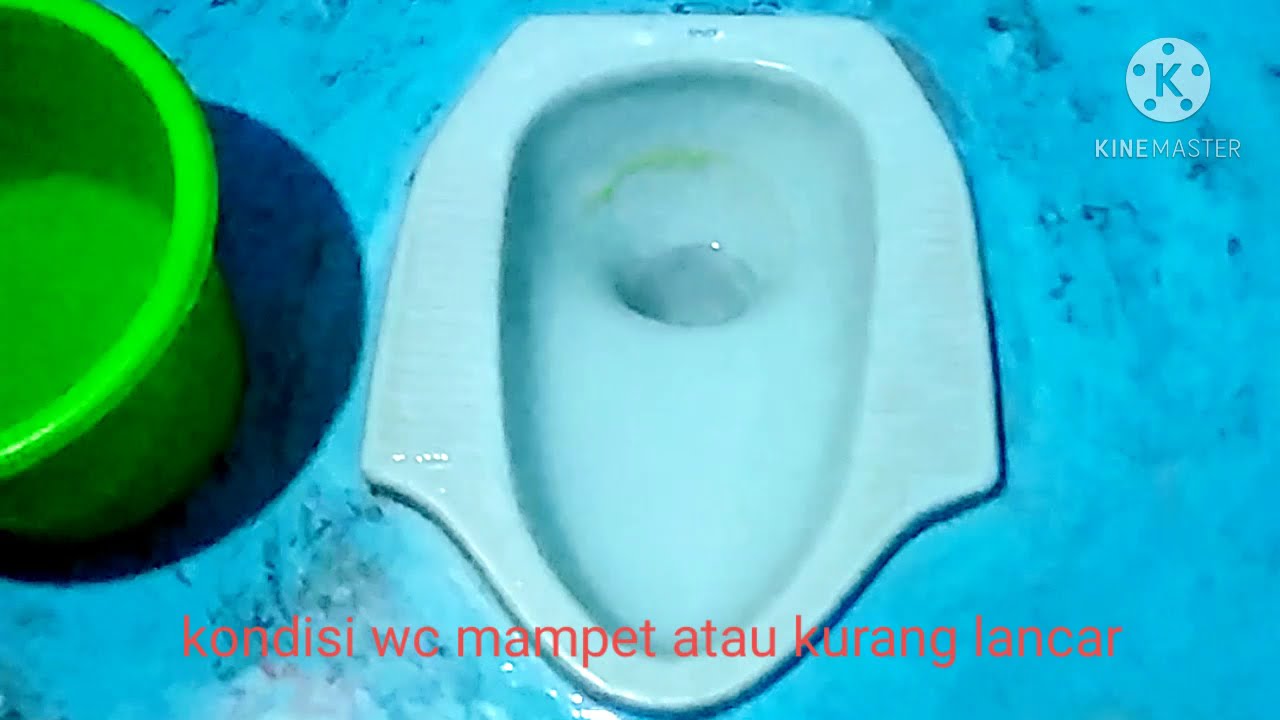 cara mengatasi wc mampet