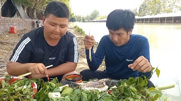 Cá Lóc Nướng Mọi Với Lá Sầu Đâu Chấm Mắm Me Có Ngon Như Lời Đồn