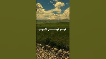 عودة الي القرآن الكريم #تدبر_القرآن #ذكر #قرآن #توبة #قران_كريم #viralvideo