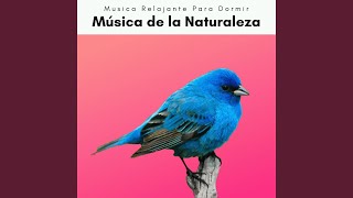 Nature Soft Music for Total Dreams pt. 1 screenshot 5