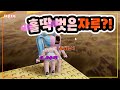 골든선물 깨러 갔는데.. 자루 상태가?! 타워오브헬이지 Tower-of-Hell-Easy[자루TV][로블록스Roblox]