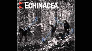 Echinacea - Cogifonia Feat. Tema Temzki, DJ Kebs