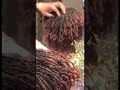 Microlocs close-up 5 + months ASMR.   #microlocs #microlocsjourney #asmr