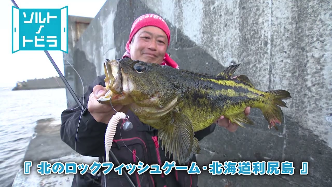 YouTube_xSw9LCivQT4サムネイル
