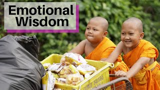 How to Develop Emotional Wisdom: Tips and Tricks (Buddhist Talk with Mental Health)