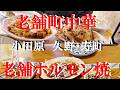 NEW 小田原ぶらり旅★散歩しながら老舗町中華と老舗ホルモン焼き店ハシゴ酒でベロベロ【日清亭久野店【やなぎや 寿町店】