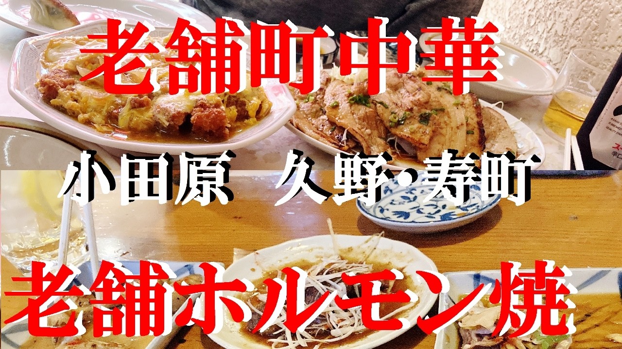 NEW 小田原ぶらり旅★散歩しながら老舗町中華と老舗ホルモン焼き店ハシゴ酒でベロベロ【日清亭久野店【やなぎや 寿町店】