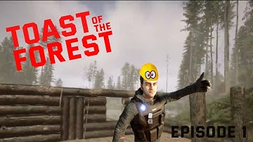 crash landing | Toast of the forest EP1