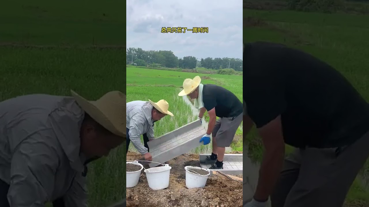 2649 🍎🍋🌱🌱🥭 