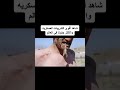 اقوى التدريبات العسكريه والاكثر جنونا في العالم