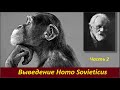 Homo Soveticus. Часть 2   № 2245