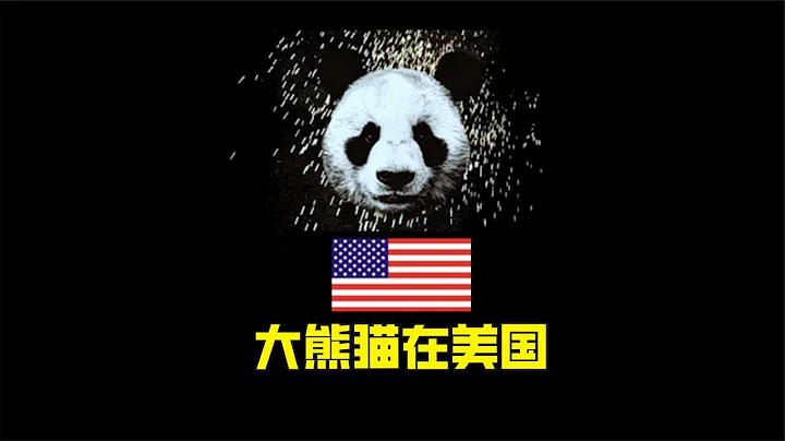 我們大熊貓在國外生活的好嗎？在美國，真是沒辦法講，你們看吧 - 天天要聞