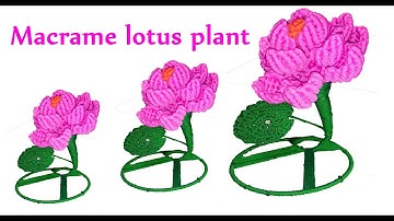 macrame lotus/macrame lotus flower plant