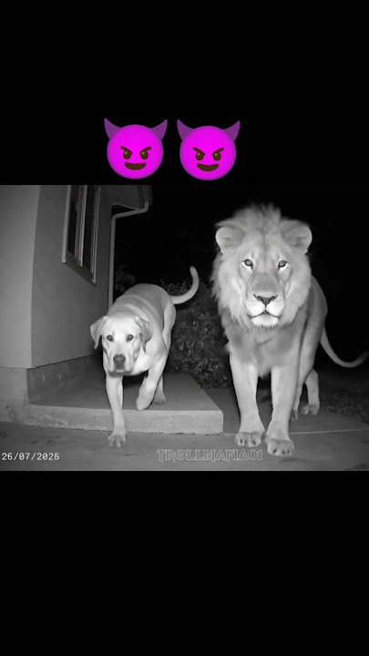 lage mafia ☠️#edit #shorts#mafia #gamtng