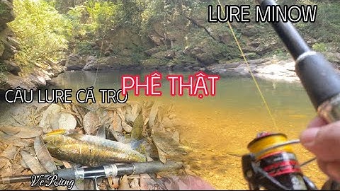 Tập 5 - Ký Sự Rừng Già |  48H Sinh Tồn Trong Rừng | Câu Lure Cá Tro Phê Thật