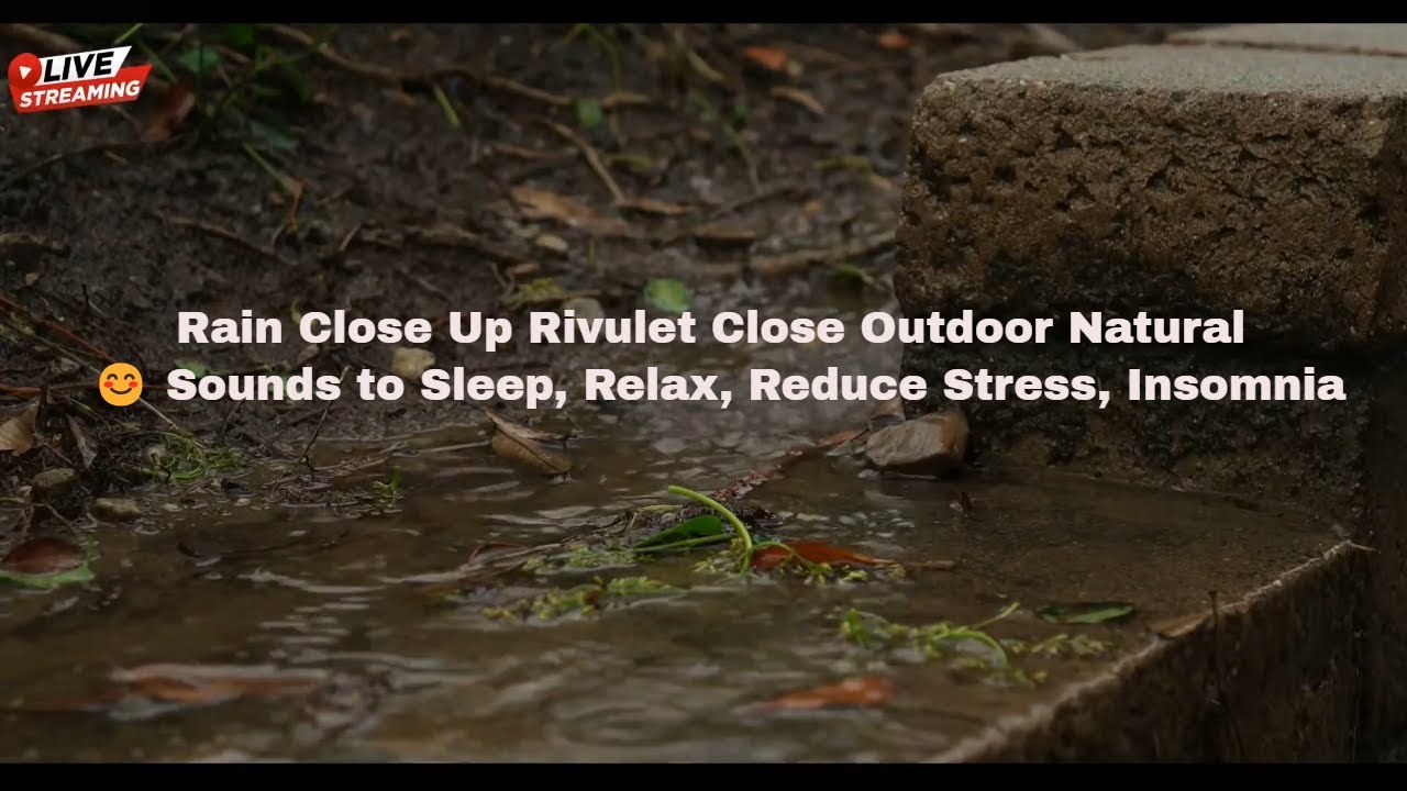 Rain Close Up Rivulet Close Outdoor Natural 😊 Sounds to Sleep, Relax ...