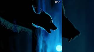 Edit From All Nine Movies