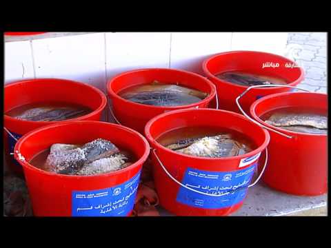 المالح وجبة تفوح برائحة ذكرى البدايات في الإمارات