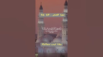 سورة القصص الآية 56 القرآن الكريم quran kerim surat kasas