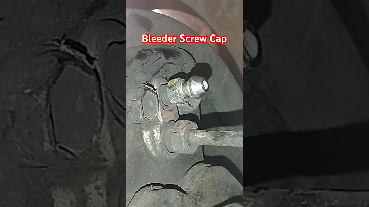 Brake Bleed Nipple Dust Cover