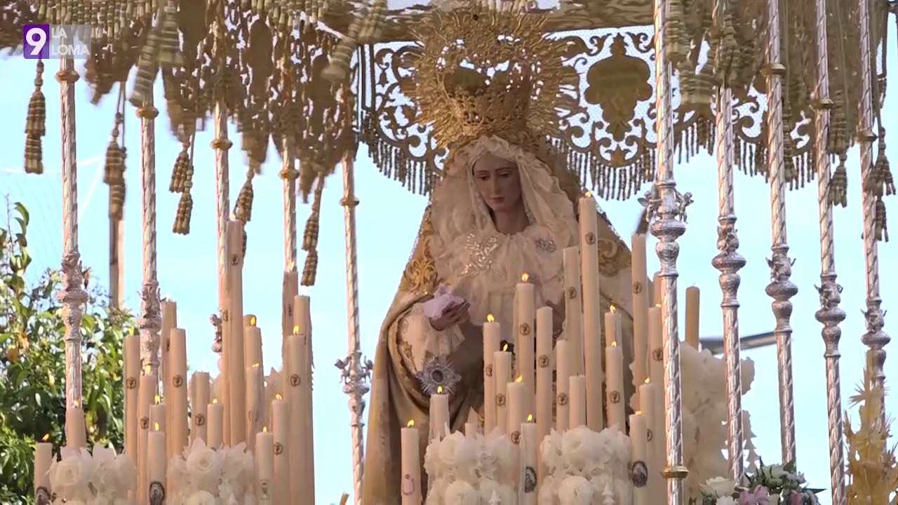Semana Santa 2019 · Borriquilla, Baeza