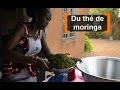 Burkina faso  du th de moringa