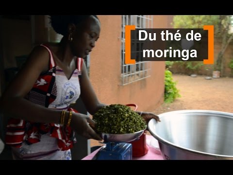 Vidéo: 7 Avantages Fantastiques Du Thé Au Moringa Et Comment Le Préparer