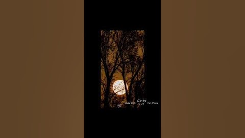 تلاوة للطالب / إياد أزيبي لما تيسر من سورة الأحزاب ( ٤١-٤٣ )