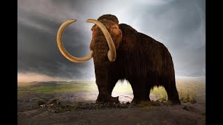 X Minus One: Project Mastodon