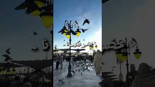#foryou #shortsfeed #shorts #tiktok ,#duet #fypp #fyp #islaam #baywindowsbus