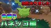 ポケモンxy 色違いケロマツとの激闘 ついに決着 Youtube