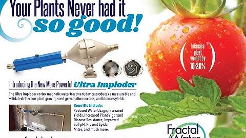 Tor Webster interview with Fractal Water CEO Jason Matozzo on the new Stainless Steel Ultra Imploder