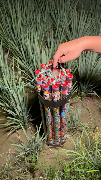 NYUMET MERCON BASOKA ROMAN CANDLE 200 SHOT!!! MALAM HARI #mercon #petasan #experiment #shorts #seru
